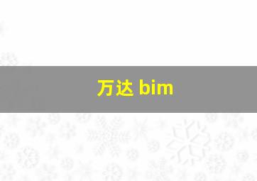 万达 bim